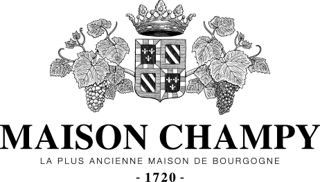 Champy logo