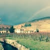 Weinbach, Bonnes Terres Riesling