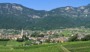 Kaltern, Chardonnay