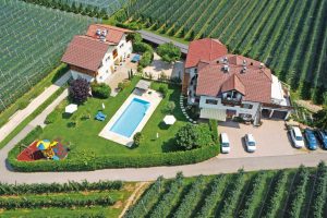 Terlan, Hausler