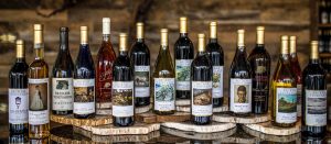 Becker Vineyards, Estate Reserve Petite Sirah