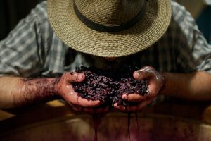 Bedrock Wine Co., Bedrock Vineyard Heritage